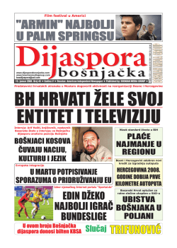 Dijaspora Jan 2008 - Bosnian Media Group