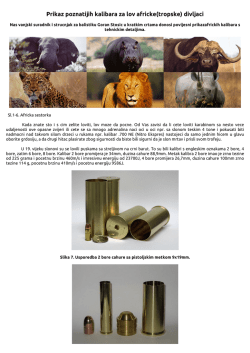 Prikazkalibarazalovafrickedivljaci.pdf