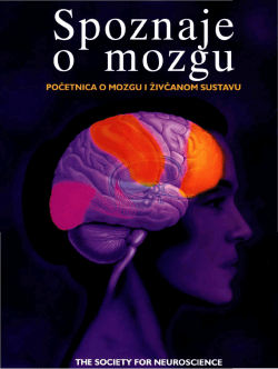 Spoznaje o mozgu