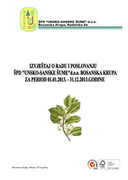 Bosanska Krupa, februar 2014.godine - Unsko