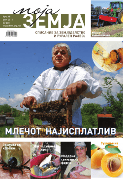 МЛЕЧОТ НАЈИСПЛАТЛИВ