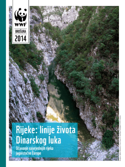 Rijeke: linije života Dinarskog luka