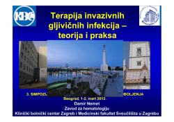 Damir Nemet [Compatibility Mode]