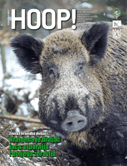 Hranjena je divljač jača, otpornija i boljega zdravlja