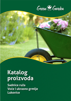 Untitled - Sjemenarna