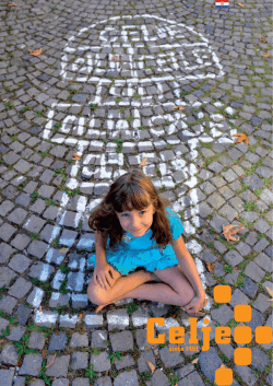 Untitled - Stari grad Celje