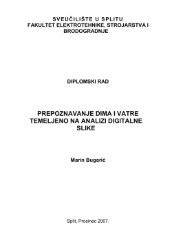 Diplomski rad (PDF)