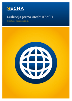 Manual Template - ECHA