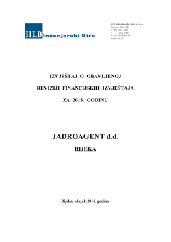 Revizorsko izvješće 2013.g.