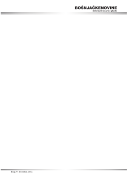 BOŠNJAČKENOVINE POLITIKA - bosnjacka-dijaspora-cg