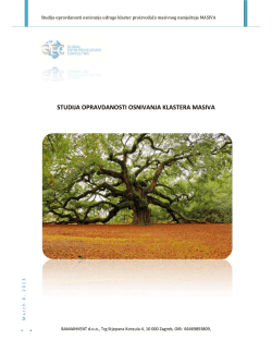 Studija opravdanosti