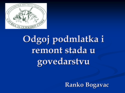 Odgoj podmlatka i remont stada