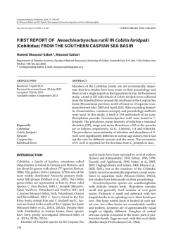FIRST REPORT OFNeoechinorhynchus rutili IN Cobitis faridpaki