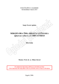 Disertacija