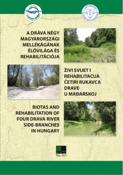 a dr&aacute;va n&eacute;gy magyarorsz&aacute;gi mell&eacute;k&aacute;g&aacute;nak &eacute;lővil&aacute;ga &eacute;s