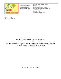 izvje&scaron;taj o radu za 2013. godinu ju dnevni centar za djecu i