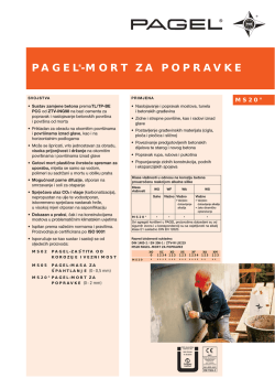 pagel&reg;-mort za popravke - Pagel Spezial