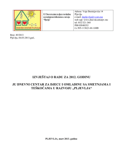 izvje&scaron;taj o radu za 2012. godinu ju dnevni centar za djecu i