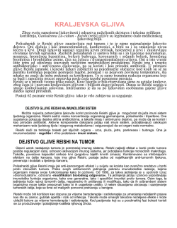 KRALJEVSKA GLJIVA