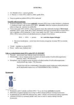 skripte – genetika