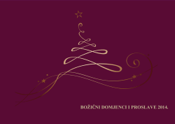 BOŽIĆNI DOMJENCI I PROSLAVE 2014.