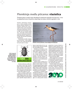 bioraznolikosti - biodiversity