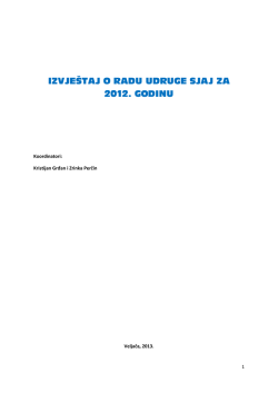 Izvje&scaron;taj o radu udruge Sjaj za 2012. godinu