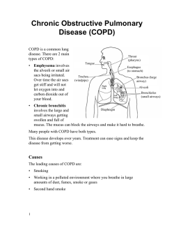 Chronic Obstructive Pulmonary Disease (COPD) - Bosnian