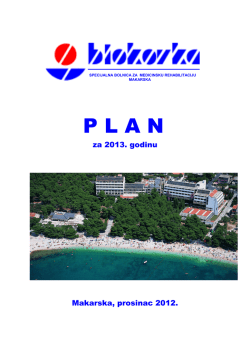 Plan 2013.pdf