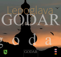 DARKO GORENAK