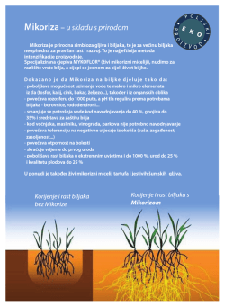 Mikoriza &ndash; u skladu s prirodom - Bio