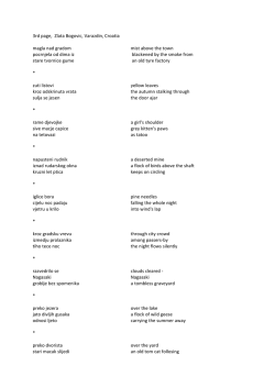 3rd page, Zlata Bogovic, Varazdin, Croatia magla nad gradom m