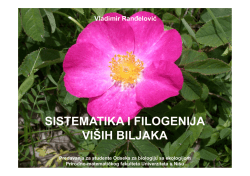 SISTEMATIKA I FILOGENIJA VI&Scaron;IH BILJAKA