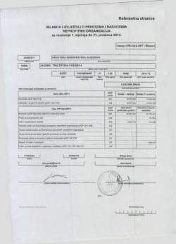 Godi&scaron;nji financijski izvje&scaron;taj HDZ