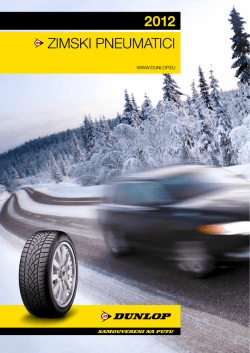2012 ZIMSKI PNEUMATICI