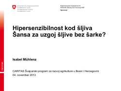 Hipersenzibilnost kod &scaron;ljiva &Scaron;ansa za uzgoj &scaron;ljive bez