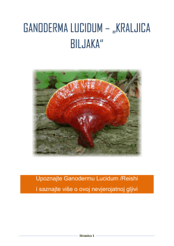 GANODERMA LUCIDUM &ndash; &bdquo;KRALJICA BILJAKA&ldquo;