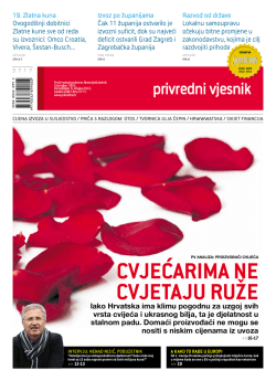 Cvjećarima ne Cvjetaju ruže - e