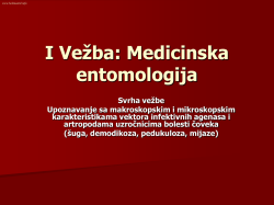 I Vežba: Medicinska entomologija