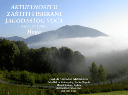 prezentacija - HOYA-VS