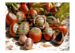 &bull;&Eta; &iota;&sigma;&tau;&omicron;&rho;ί&alpha; &tau;&omicron;&upsilon; &phi;&omicron;&upsilon;&nu;&tau;&omicron;&upsilon;&kappa;&iota;&omicron;ύ: