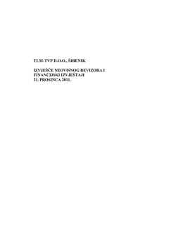 1 GFI + izvjesce revizora HRV - TLM