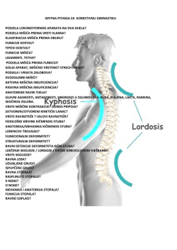 PITANJA ZA KOREKTIVNU GIMNASTIKU.pdf