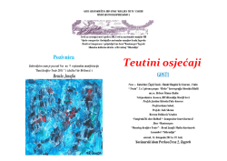 Teutini osjećaji - Vijeće bošnjačke nacionalne manjine Grada Zagreba