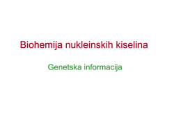 Genetska informacija