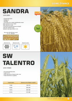 SANDRA NOVO! SW TALENTRO