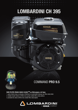 LOMBARDINI CH 395