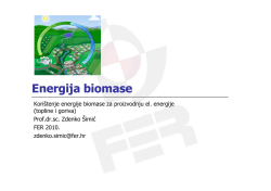 Energija biomase &ndash; prezentacija