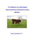 που χρονολογείται από τα συντονιστικά κέντρα στο Cebu