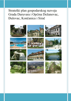 Strate&scaron;ki plan gospodarskog razvoja Grada